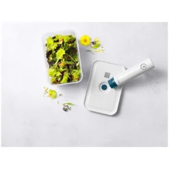 Zwilling Vacuümdoos L, Kunststof, Semitransparan-La-Mer Blauw -Kook Warm Verkoopwinkel 272663 ZWI BOX Plastik L Top V4 0002